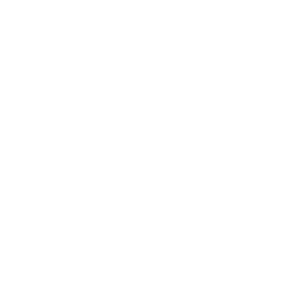 1st Detector