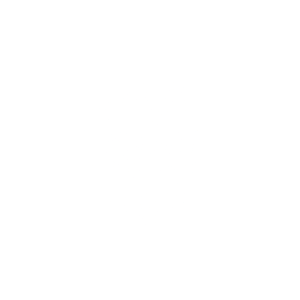 dashbam
