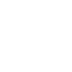 idemia