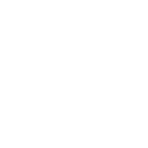 raytheon