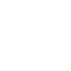 sensics