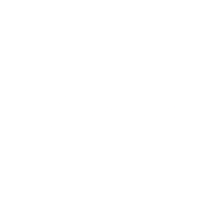 synovision