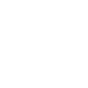 vehitronics