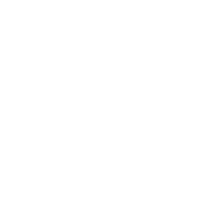 velocity systems